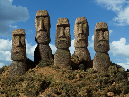 Old Easter Island genomes show no sign of a population collapse