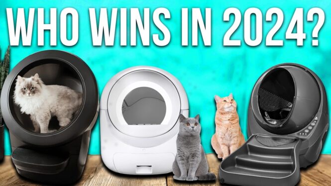 The 5 Automatic Litter Boxes We’ve Tested and Recommend (2024)