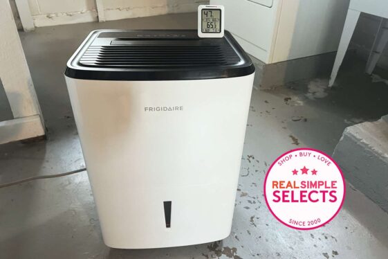 4 Best Dehumidifiers We’ve Tested and Reviewed