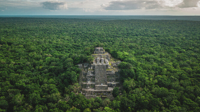 Ancient Mayan city discovered via page 16 of Google search results