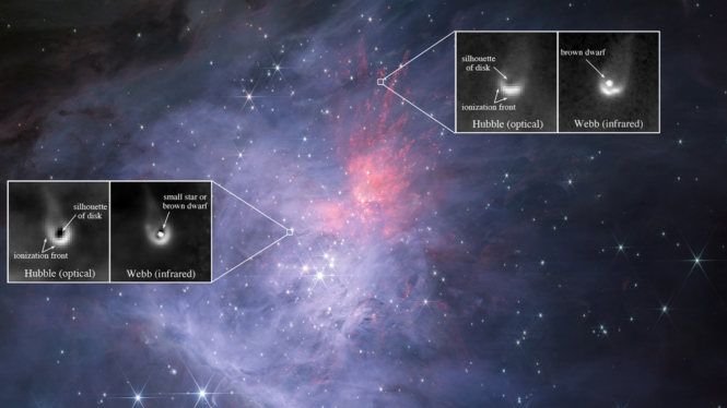 Can ‘failed stars’ have planets? James Webb Space Telescopes offers clues