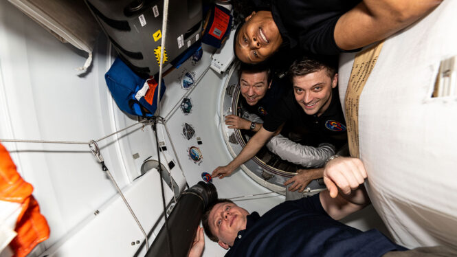 Crew-8 astronauts splash down on SpaceX Dragon Endeavour after weather delays (video)