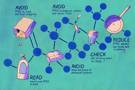 How Can I Cut PFAS ‘Forever Chemicals?’