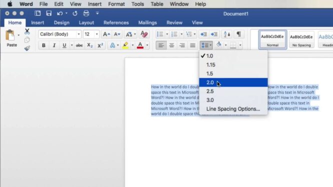 How to double space in Microsoft Word