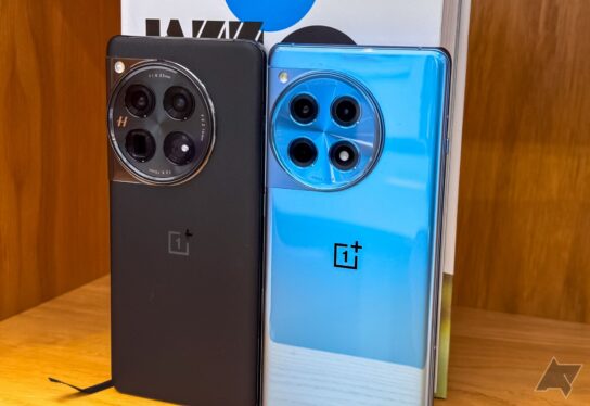 I did a OnePlus 12 vs. OnePlus 12R camera test, and there’s a big difference