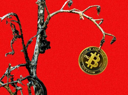 In the Kentucky Mountains, a Bitcoin Mining Dream Becomes the Stuff of Nightmares