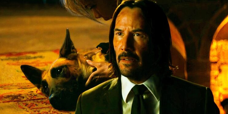 John Wick 3s Dog Training Took Longer Than The Movies Shooting, Recalls Stuntman