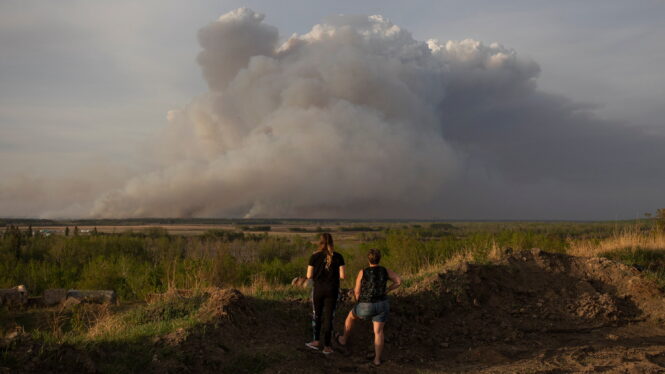 More Forests Are on Fire, a Big Risk in Climate Change Fight