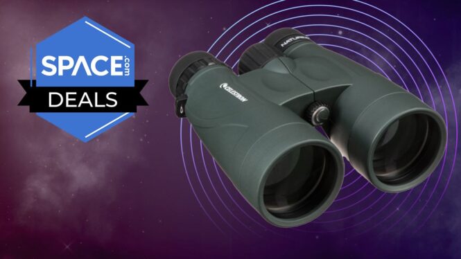 The affordable Celestron Nature DX 12×56 binoculars are now even better value with 32% off the regular price