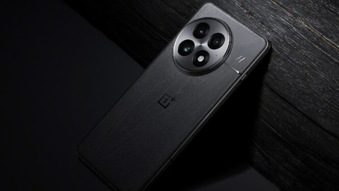 This could be our first look at the OnePlus 13