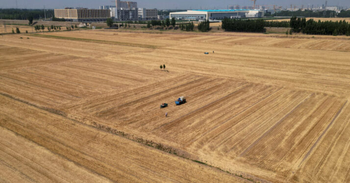 Water Crises Threaten the World’s Food Supply, Studies Show