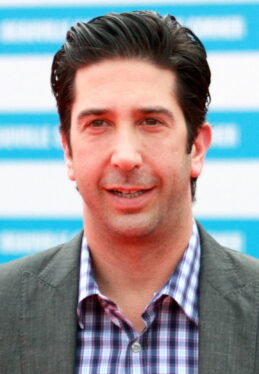 What Happened To David Schwimmer