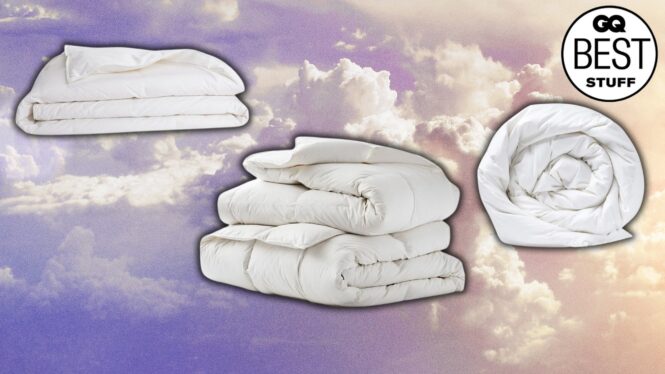 9 Best Down Comforters (2024), Tested and Reviewed