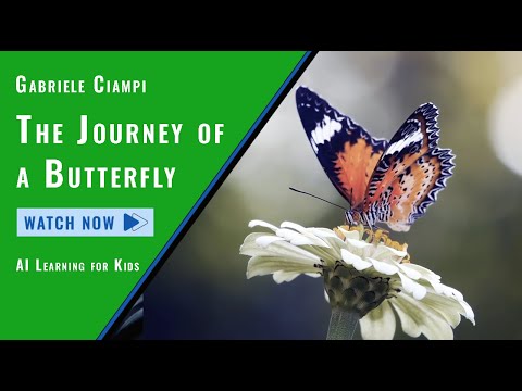 Gabriele Ciampi – The Circle of Life | A Butterfly’s Journey [4K]