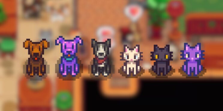 How to get all pets in Stardew Valley