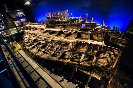 What this 500-year-old shipwreck can tell us about how we age