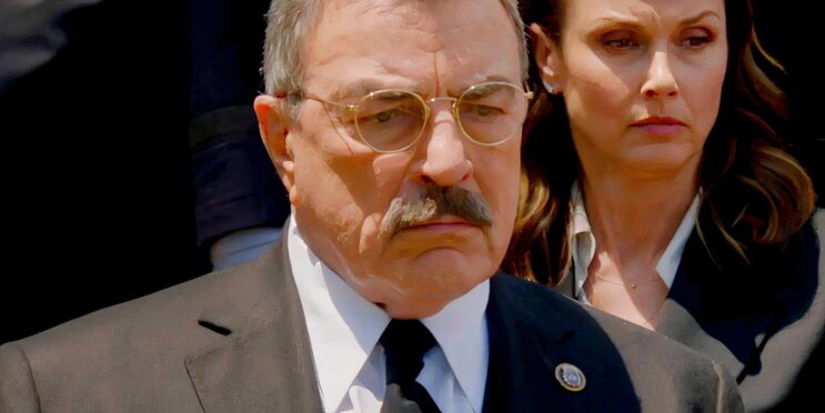 8 Spinoffs Set Up By The Blue Bloods Finale