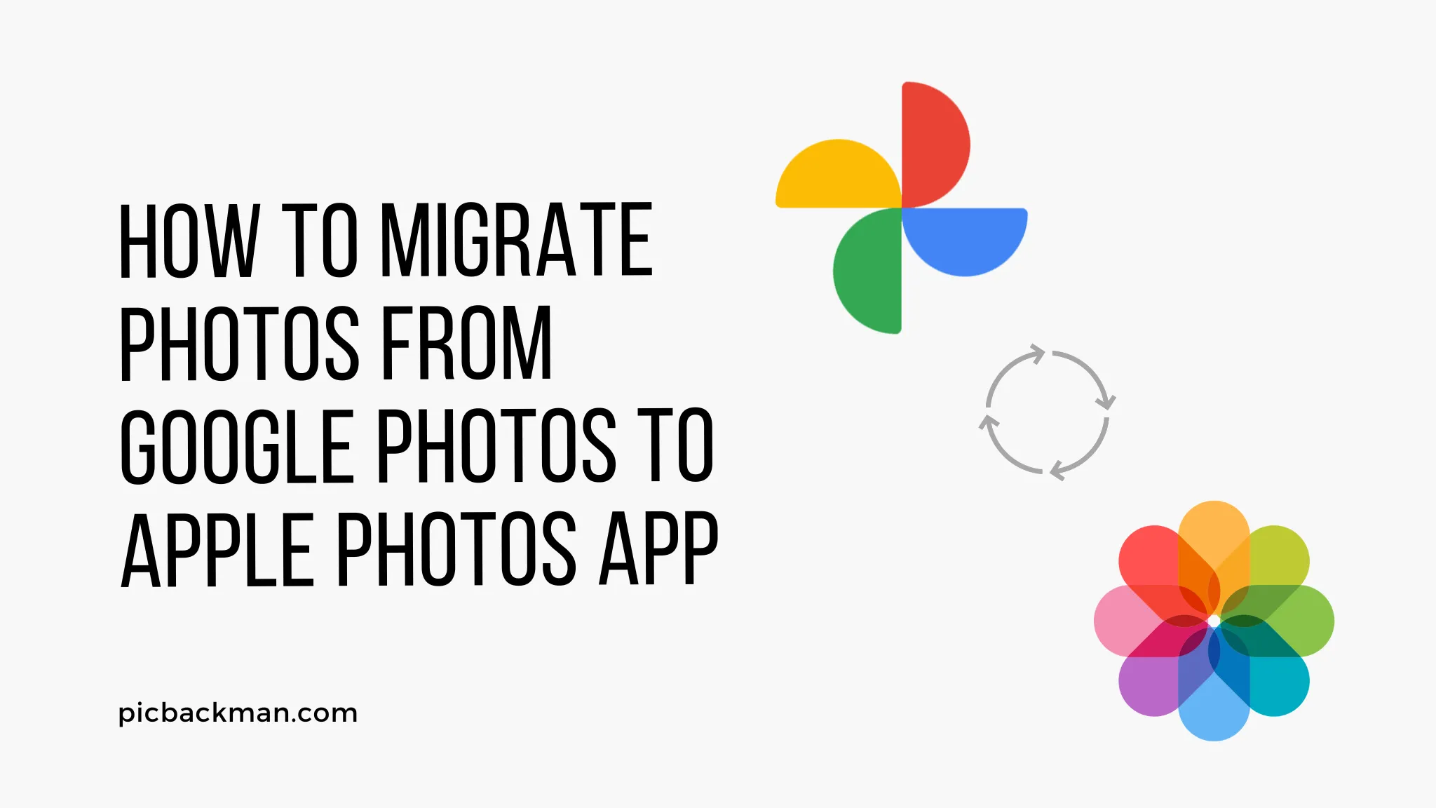 How to Navigate Updates to Apple’s and Google’s Photos Apps