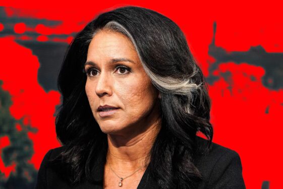 Meet the Conspiracy Filmmaker Who Claims to Have Red-Pilled Tulsi Gabbard