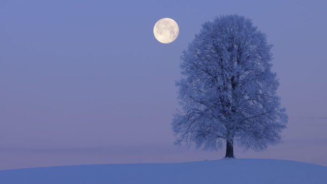 The Next Full Moon is the Cold Moon