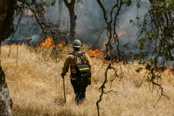 Benefit Concert for Los Angeles Fire Victims to Be Held at Intuit Dome