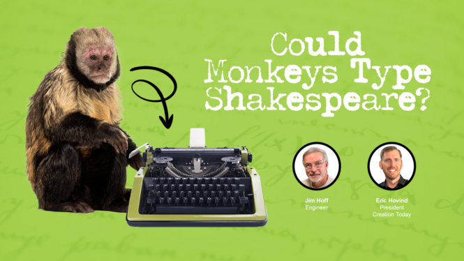 Could Monkeys Really Type All of Shakespeare?