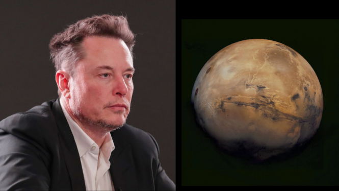 Elon Musk: “We’re going straight to Mars. The Moon is a distraction.”