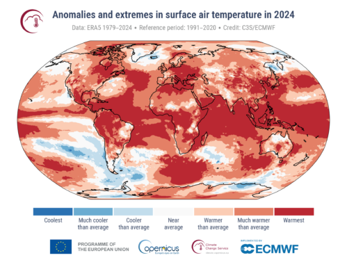 Everyone agrees: 2024 the hottest year since the thermometer was invented