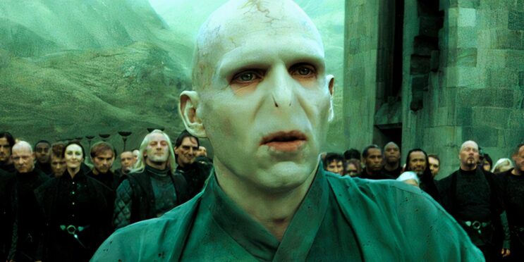 Harry Potter Franchise Director Shares Thoughts On TV Reboot & Addresses Popular Voldemort Fancast