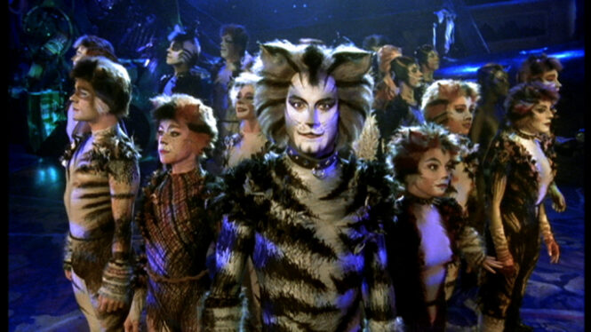 What Is A Jellicle Cat? The Musical Feline Explained